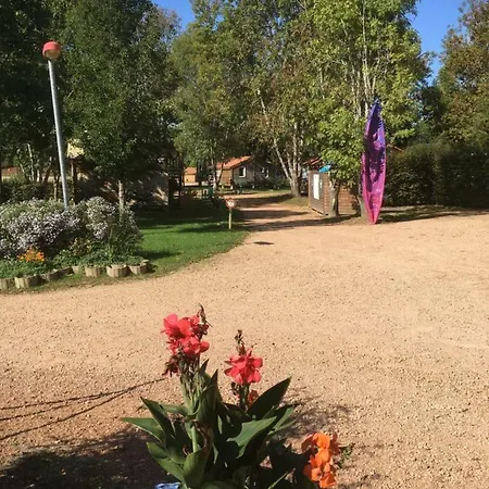 Des Papillons Lalizolle