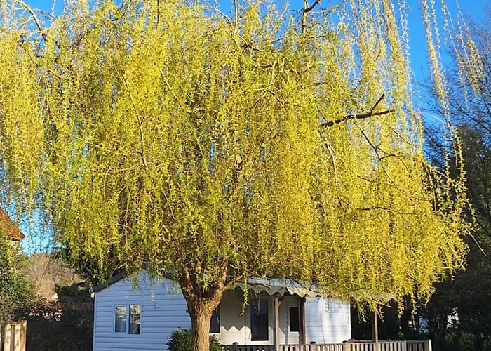 אתר קמפינג Des Papillons Lalizolle