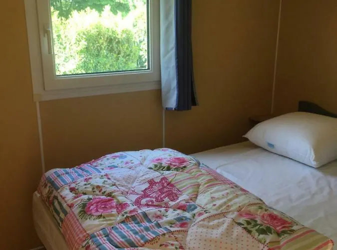 Des Papillons Lalizolle