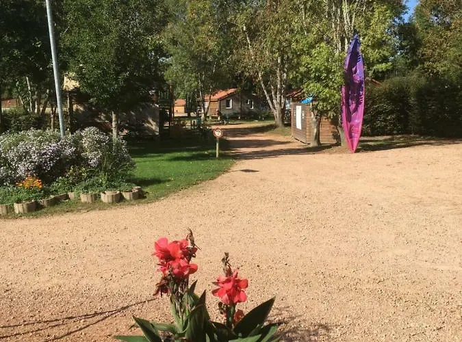 Des Papillons Lalizolle